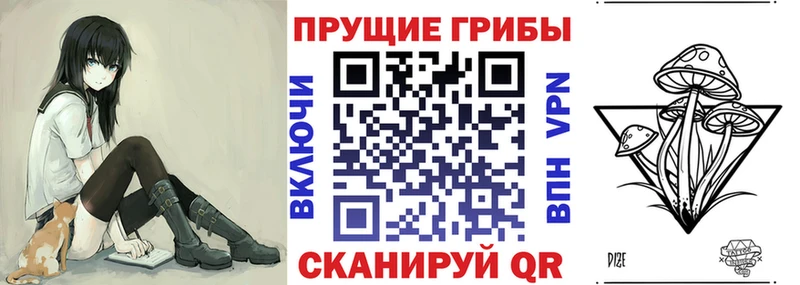 гидра ссылки  Котельнич  Галлюциногенные грибы мицелий 